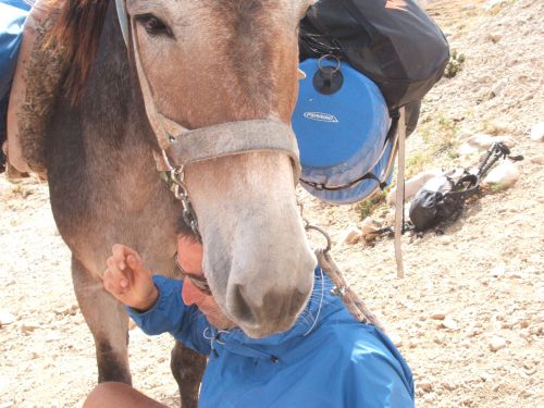 trekking con i muli-145.JPG